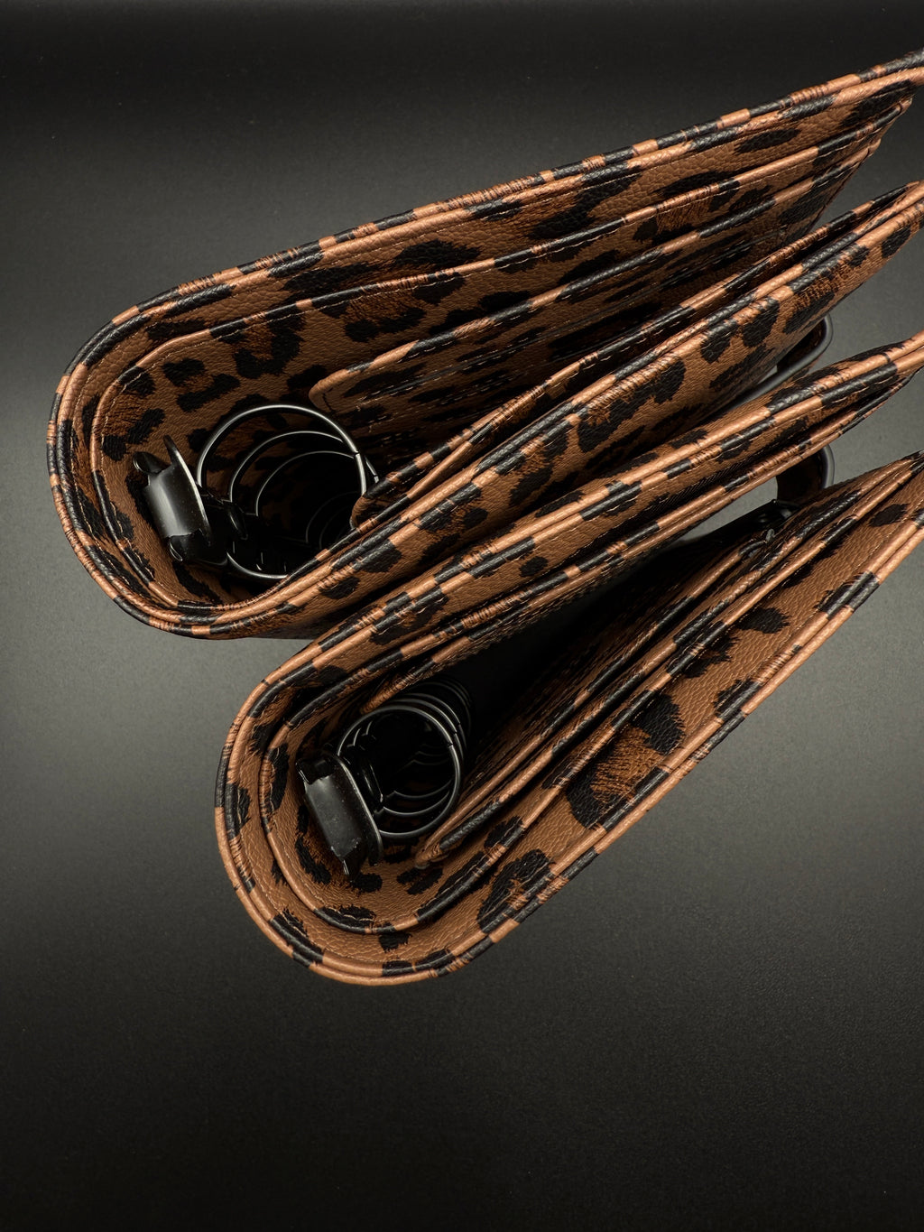 Leo Collection A6 Ringbuch