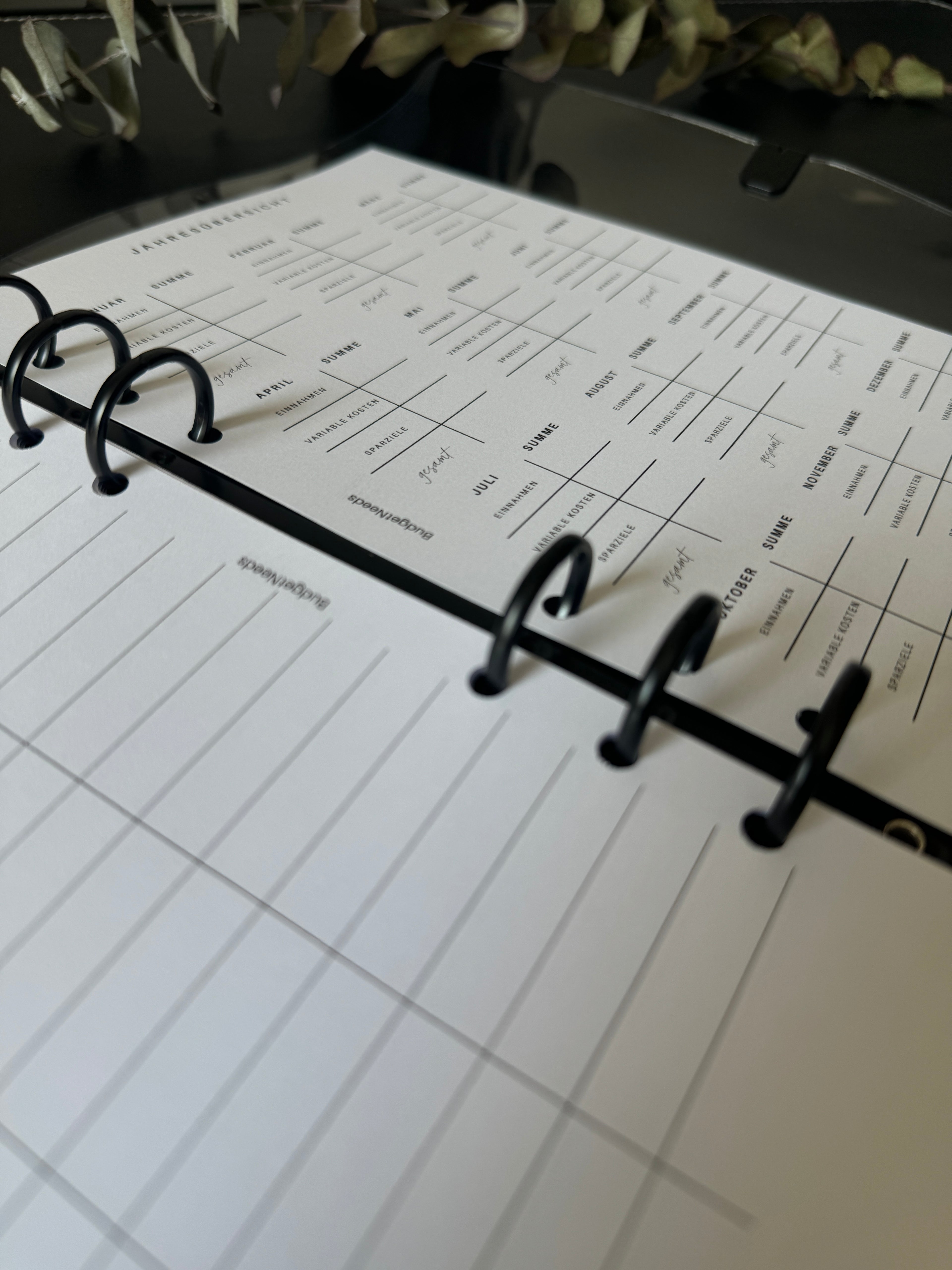 Finanzplaner A5 - Einlagen - Budget Needs