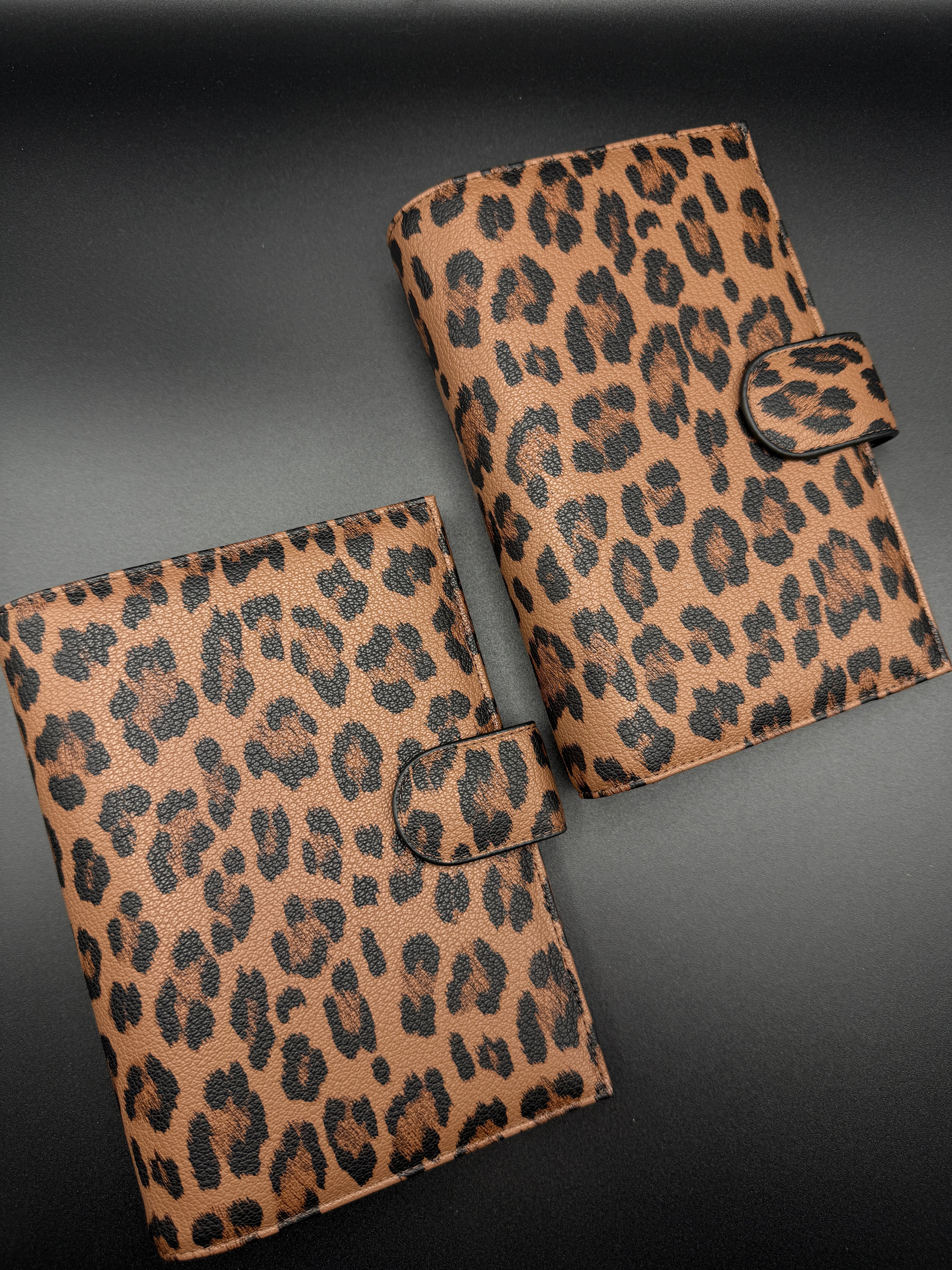 Leo Collection A6 Ringbuch