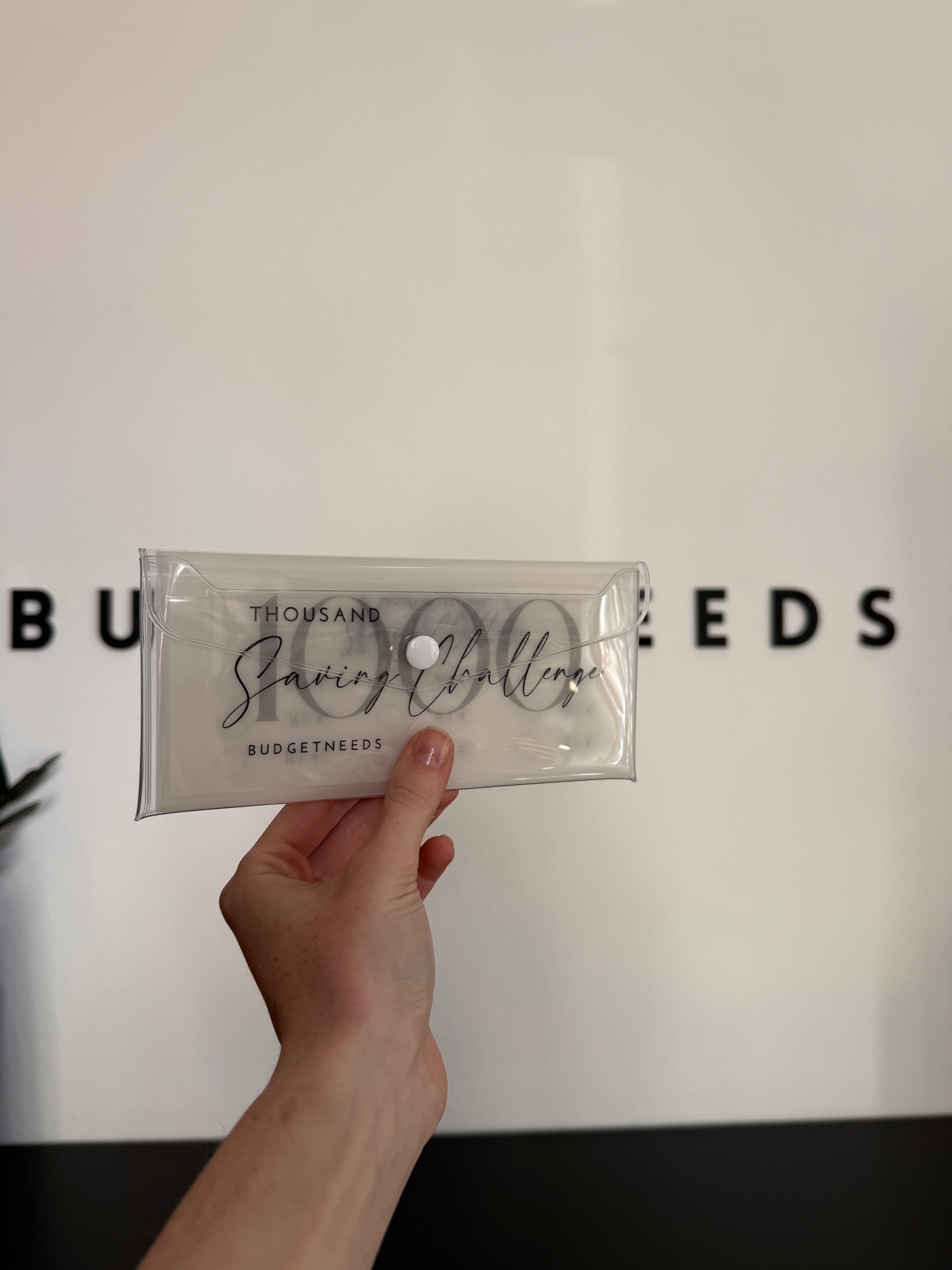 1000 Euro savings challenge