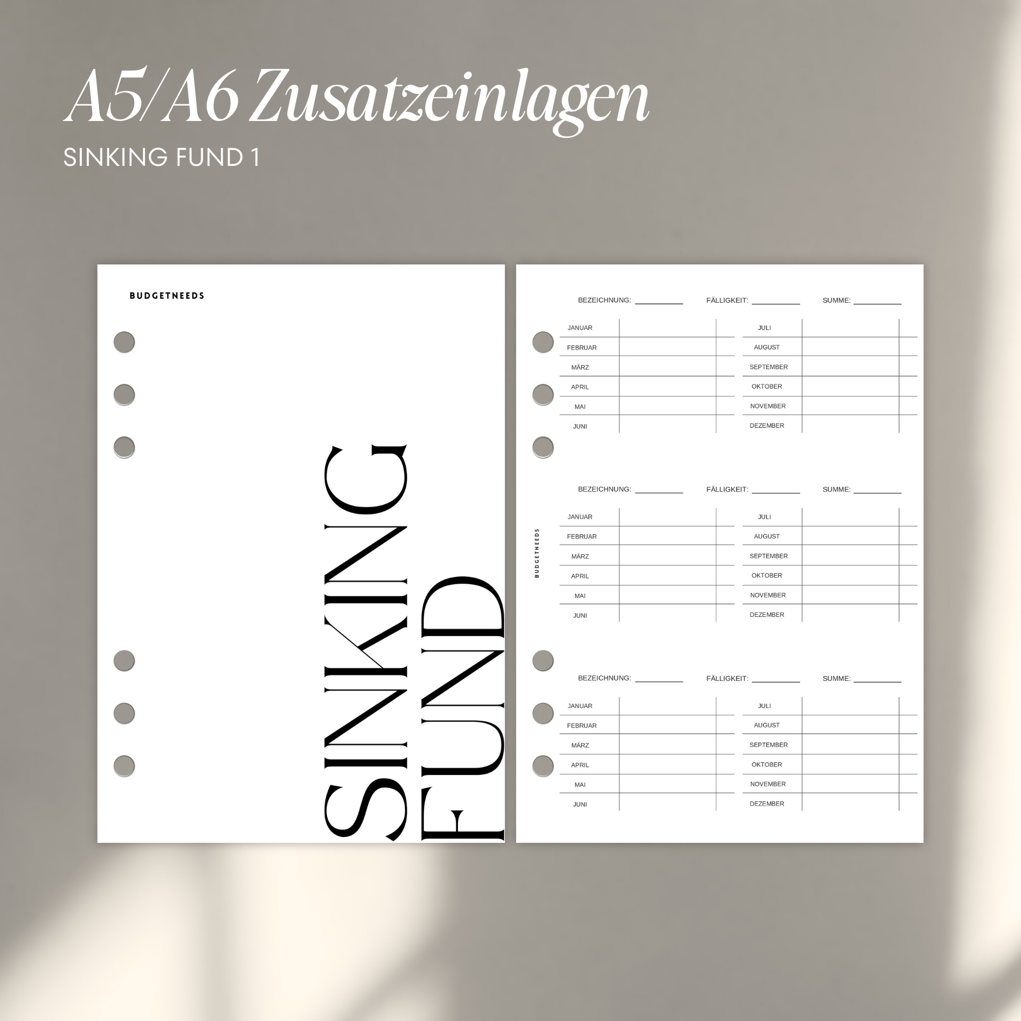 Zusatzeinlagen für Finanzplaner