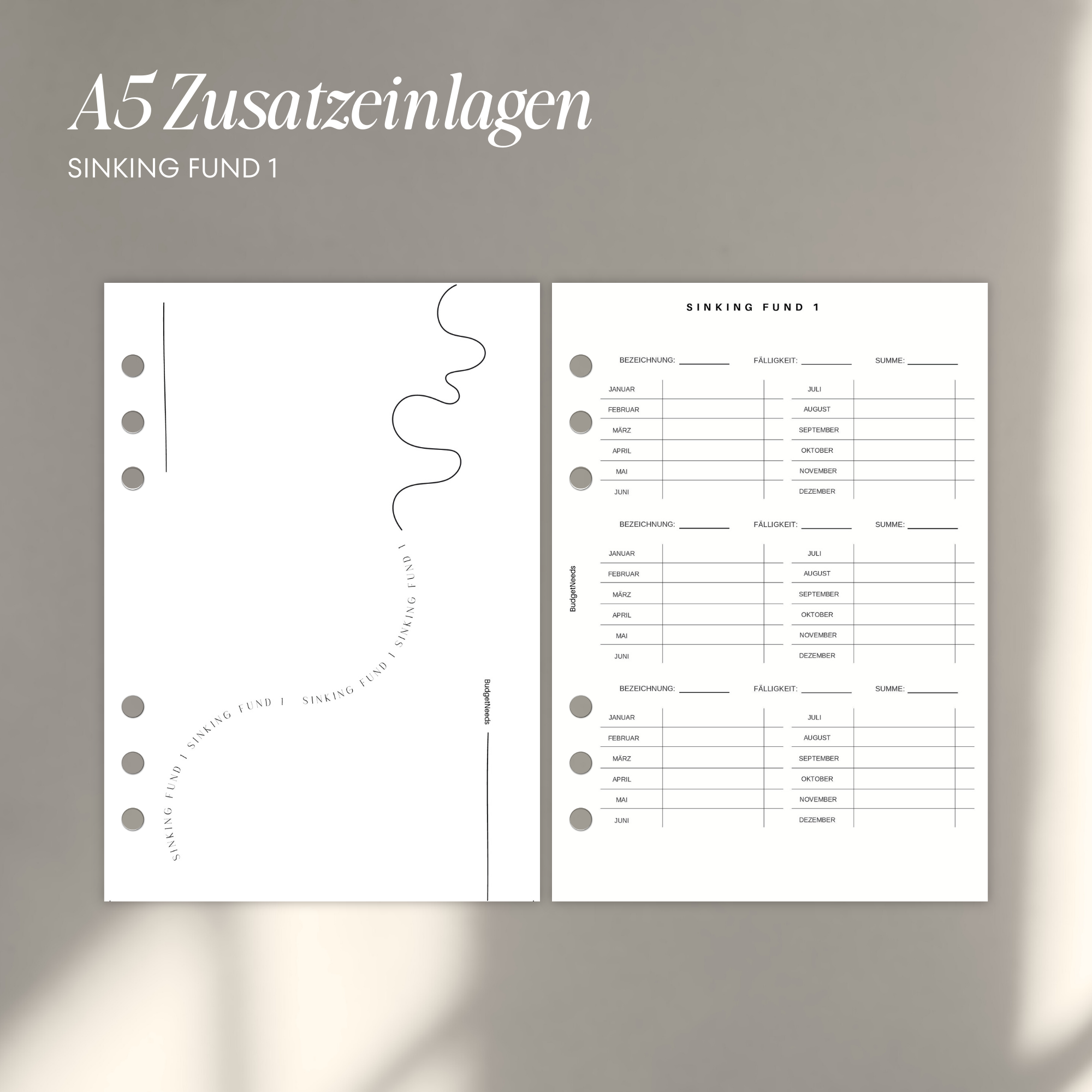 Zusatzeinlagen für Finanzplaner