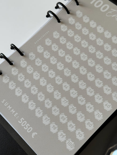 100 Envelope Saving Challenge A5 - Budget Needs