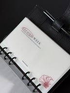 B WARE Wochenbudget | Wochenumschläge 1-5 + Back to Bank - Budget Needs